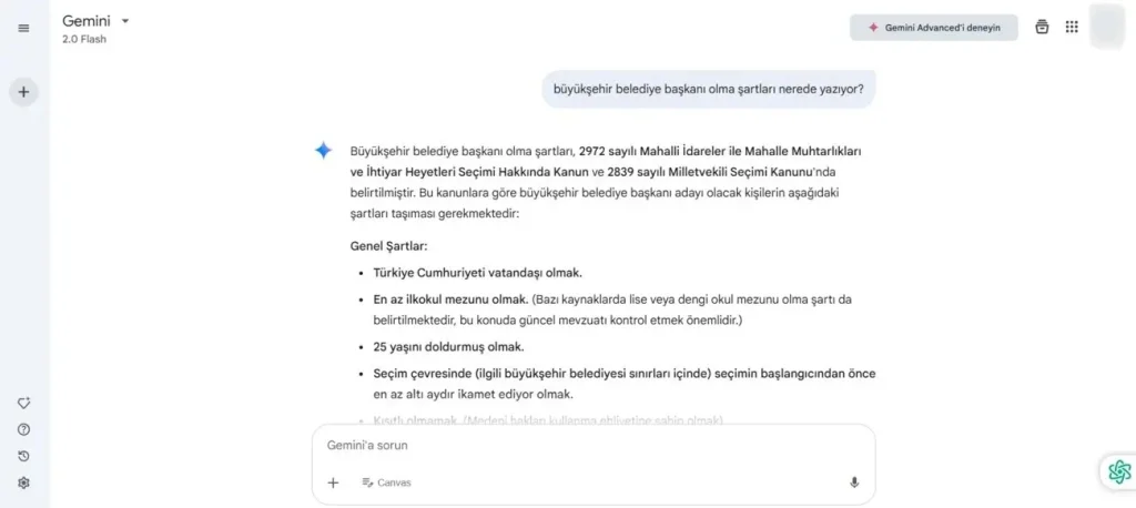 Google Gemini.webp